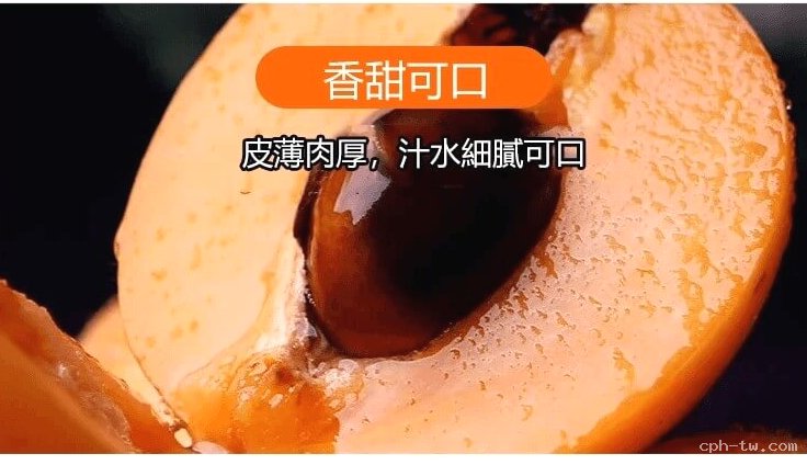 竹鹽枇杷乾&copy;萃品匯